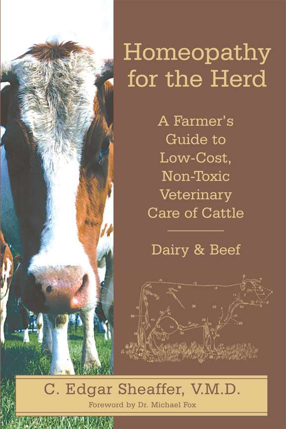 (image for) Homeopathy for the Herd